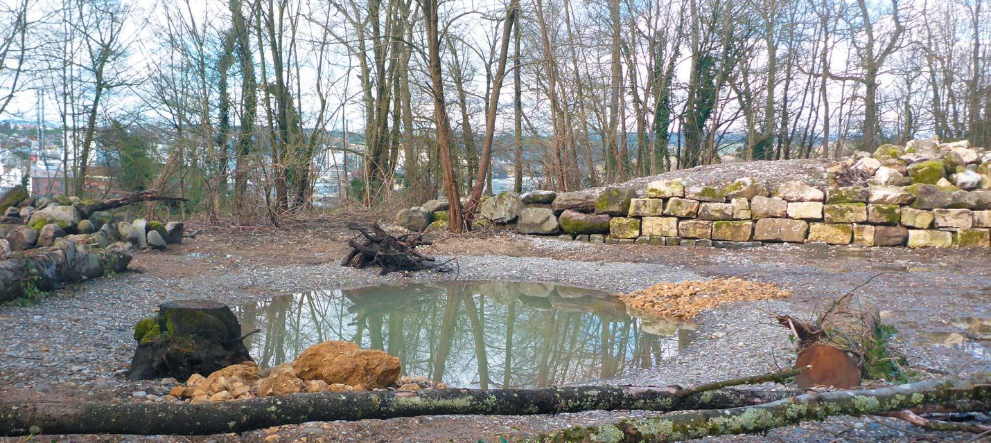 Alte Saline