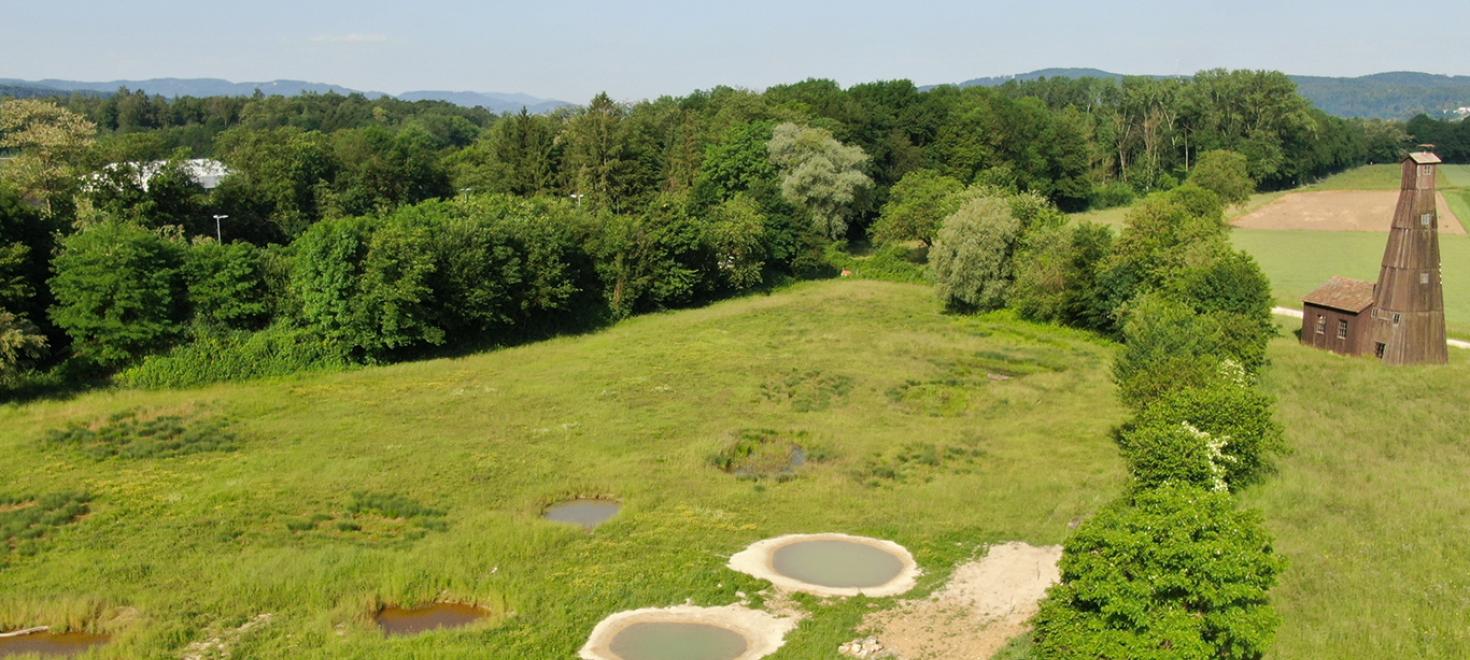 Naturschutzgebiet 